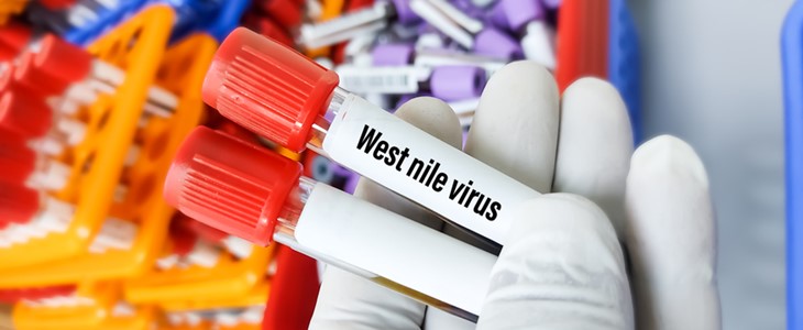 West-Nil-Virus bei 188 Menschen in Europa nachgewiesen