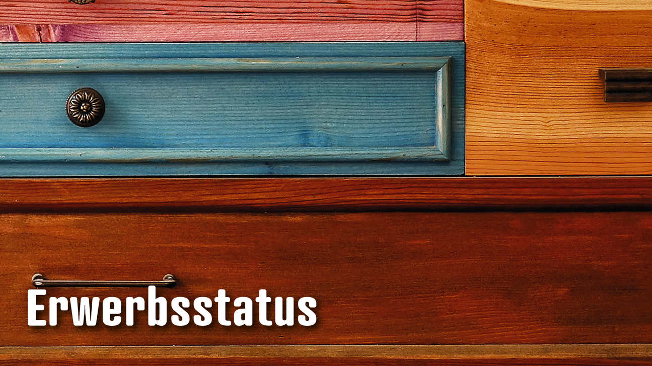 Dossier Erwerbsstatus5