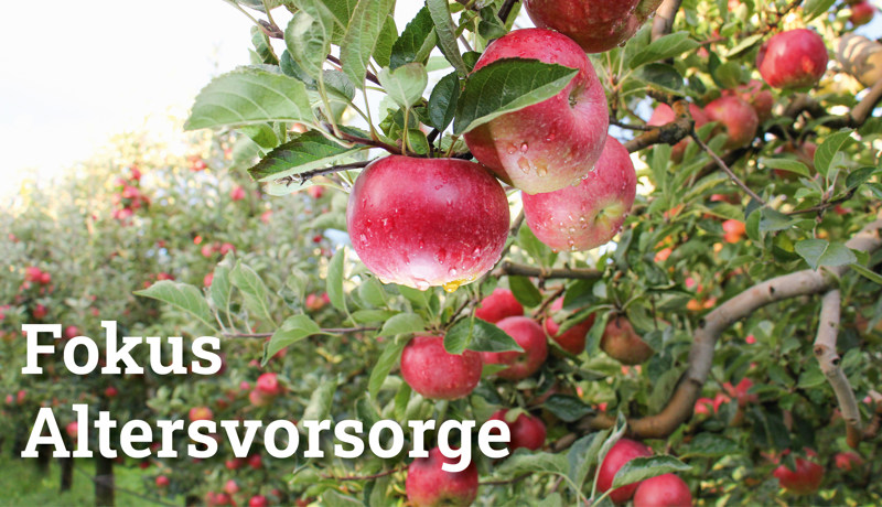 Fokus Altersvorsorge2