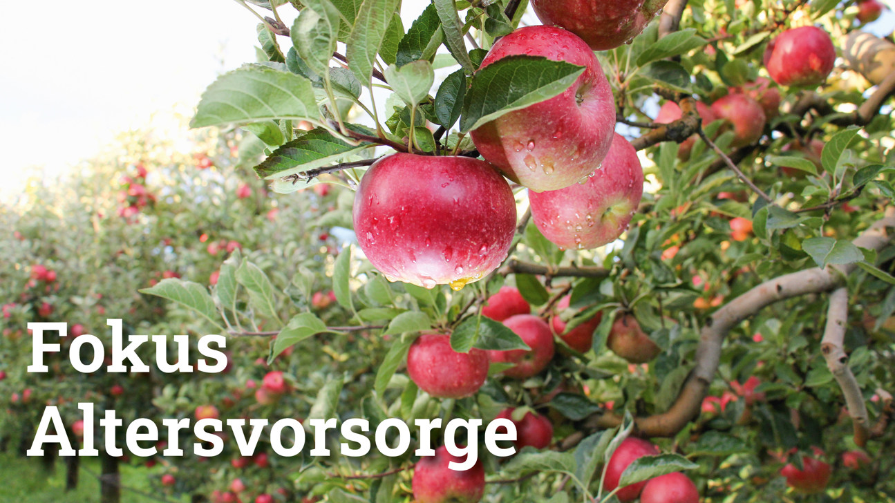 Fokus Altersvorsorge2