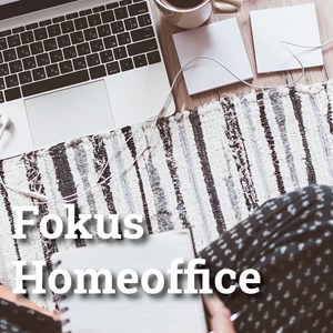 Handout zum Fokus Homeoffice Handout zum Fokus Homeoffice