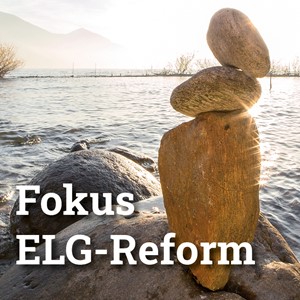 Handout zum Fokus ELG-Revision