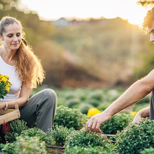 Zürcher Ärzte verschreiben künftig Tanzkurse und Gartenarbeit Zürcher Ärzte verschreiben künftig Tanzkurse und Gartenarbeit