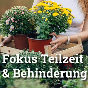 Mehrere Teilzeitpensen in der Sozialversicherung Mehrere Teilzeitpensen in der Sozialversicherung