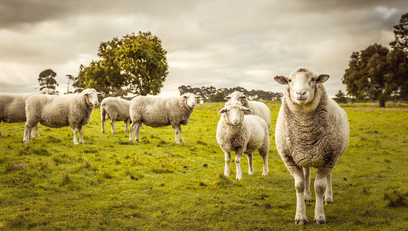 Schlaf und Regeneration