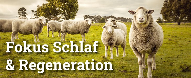 Hilfe gegen das nächtliche Scheitern Hilfe gegen das nächtliche Scheitern