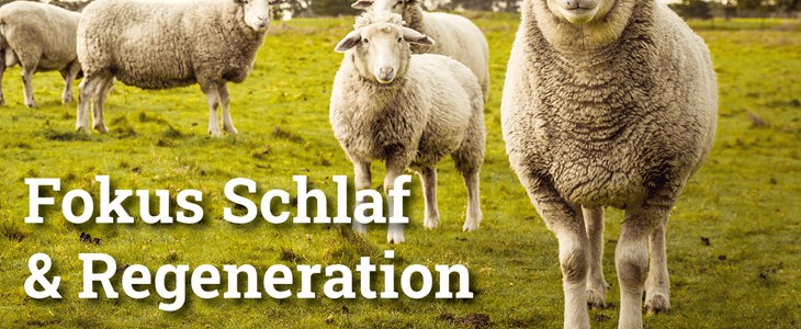 Der Taktgeber sind Sie selbst! Der Taktgeber sind Sie selbst!