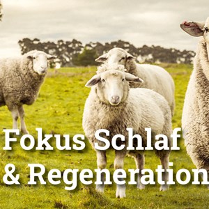 Wer leisten will, muss schlafen Wer leisten will, muss schlafen