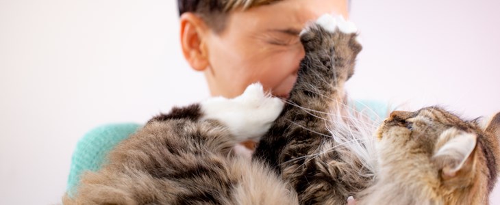 Tiere sind immer häufiger Ursache für Unfälle Tiere sind immer häufiger Ursache für Unfälle