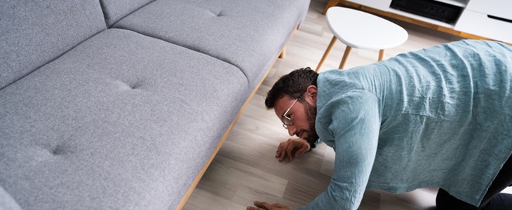 Firmen suchen händeringend nach neuen Mitarbeitern Firmen suchen händeringend nach neuen Mitarbeitern
