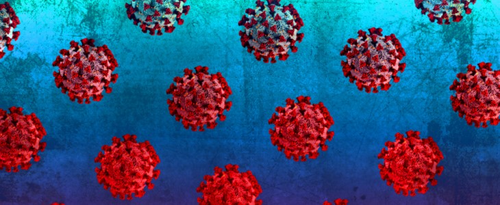 Spezialisten des Bundes sprechen von «Epidemie der Ungeimpften»