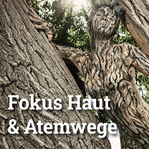 Wie der Stress in die Haut kommt Wie der Stress in die Haut kommt