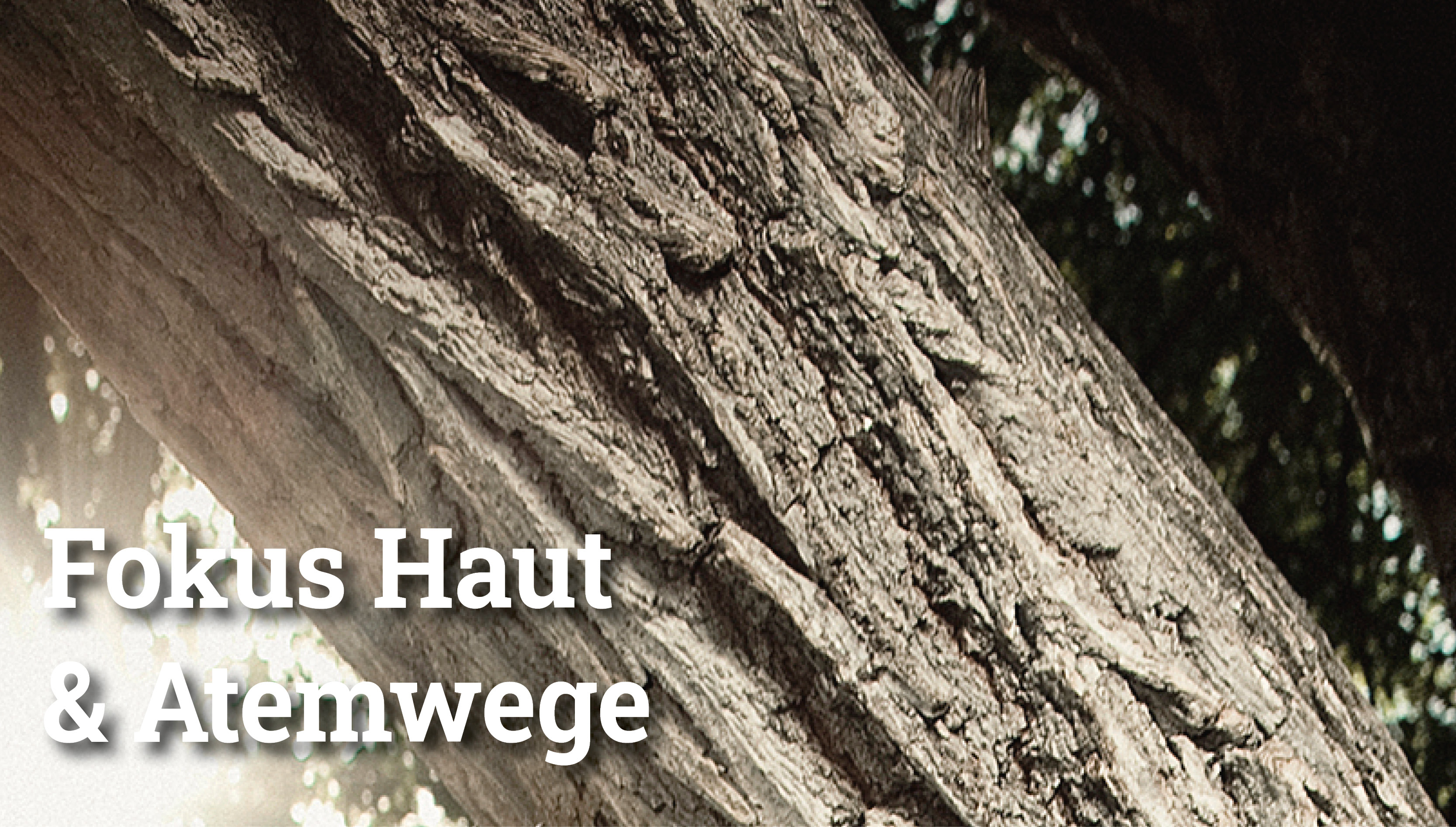 Handout Beruflich bedingte Hauterkrankungen