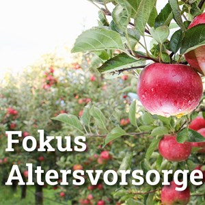 «Gut Ding will Weile haben» - Ja, aber jetzt macht endlich vorwärts! «Gut Ding will Weile haben» - Ja, aber jetzt macht endlich vorwärts!