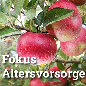 AHV-Revision zum Ersten, zum Zweiten, zum Xten AHV-Revision zum Ersten, zum Zweiten, zum Xten