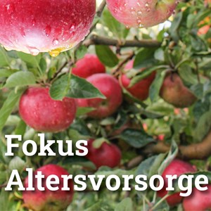 Handout zur Revision der Altersvorsorge Handout zur Revision der Altersvorsorge