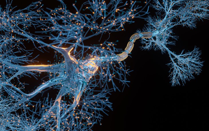 Neuronenzellen