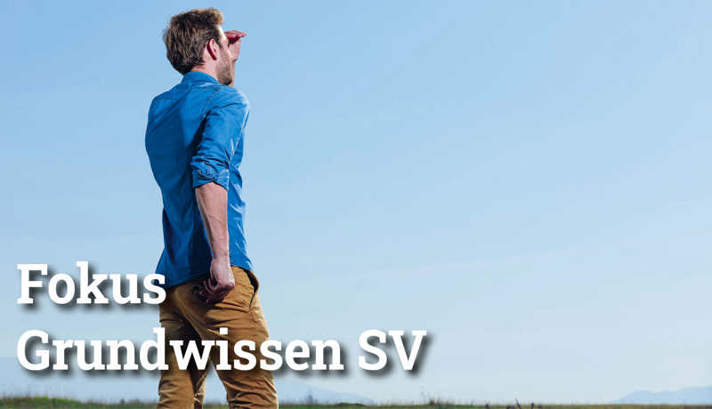 Fokus Grundwissensv2