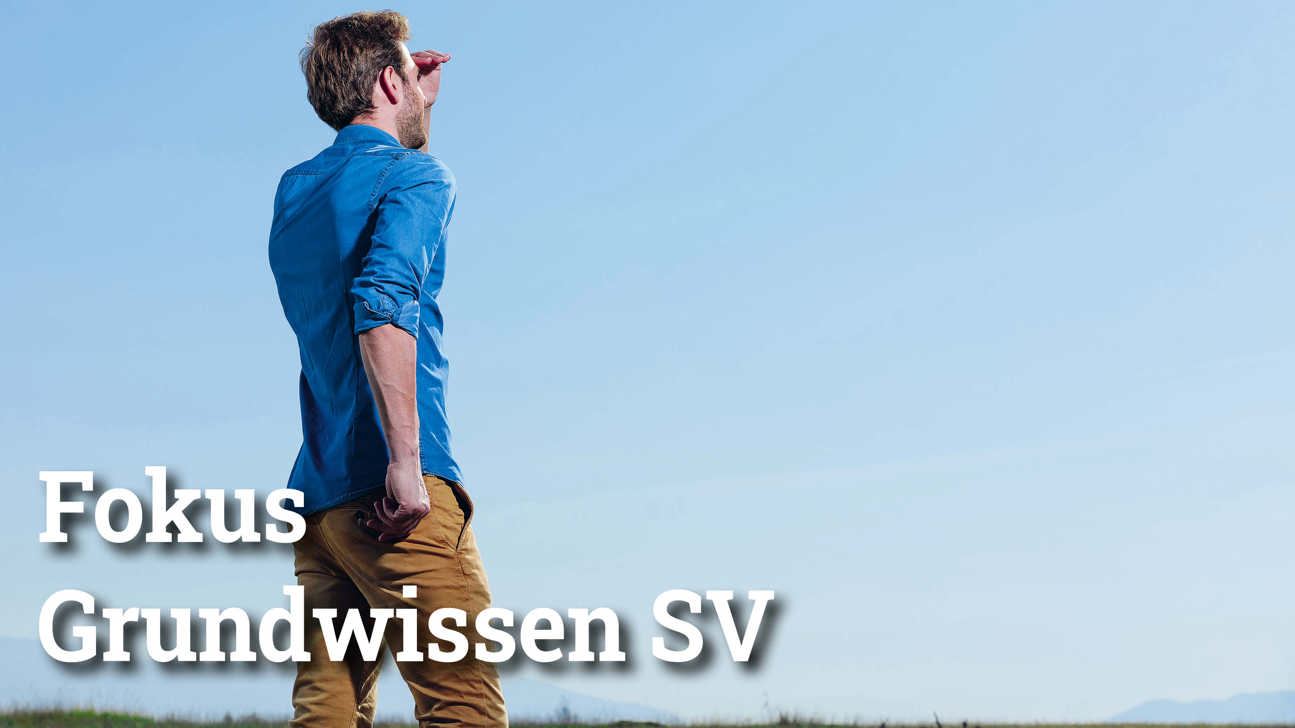 Fokus Grundwissensv2