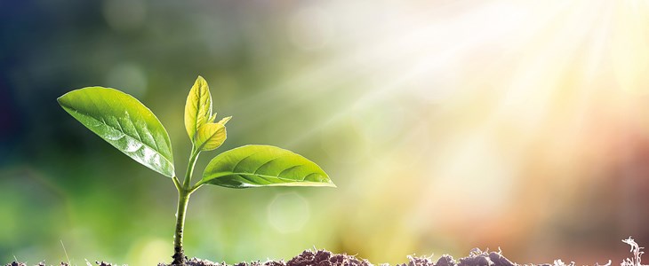 Versicherung bei Unternehmensgründung Versicherung bei Unternehmensgründung