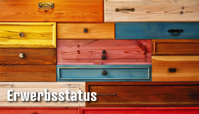 Dossier Erwerbsstatus2