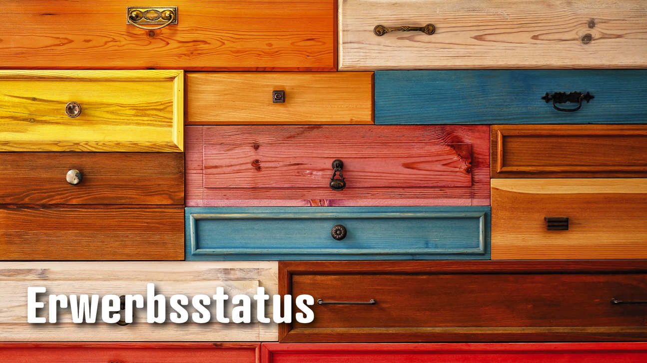 Dossier Erwerbsstatus2