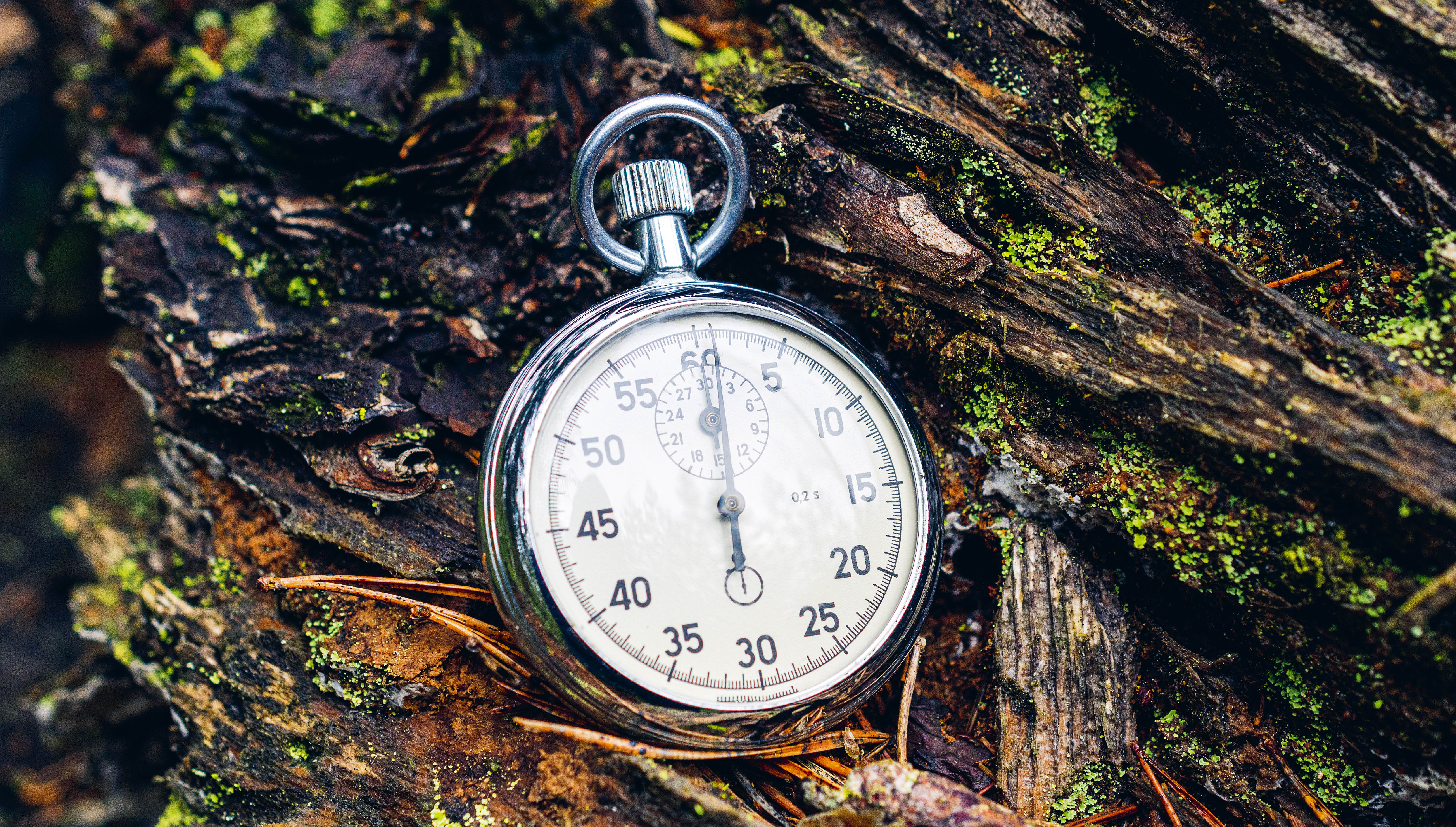 Flexibler Rentenbeginn