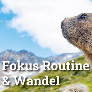 Ein Lob auf die Routine Ein Lob auf die Routine