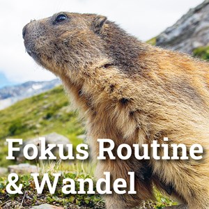 Rekrutieren für Routine Rekrutieren für Routine
