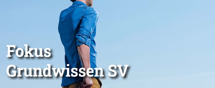 Fokus Grundwissen Sozialversicherungen Fokus Grundwissen Sozialversicherungen