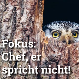 Chef, er spricht nicht! Chef, er spricht nicht!