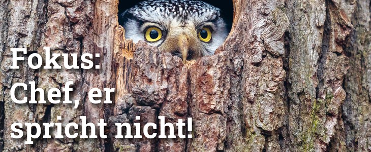 Fokus Chef, er spricht nicht! Fokus Chef, er spricht nicht!