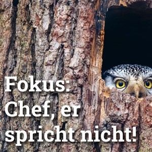 Introversion: Wohin geht die Energie? Introversion: Wohin geht die Energie?