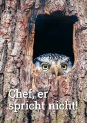 Chef, er spricht nicht!