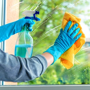 Private Hausangestellte sollen Arbeitsrecht nicht unterstehen Private Hausangestellte sollen Arbeitsrecht nicht unterstehen