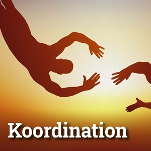 Koordination zwischen verschiedenen Vorsorgeleistungen