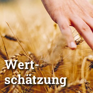 Der Wert der Wertschätzung