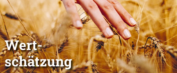 Fokus Wertschätzung Fokus Wertschätzung