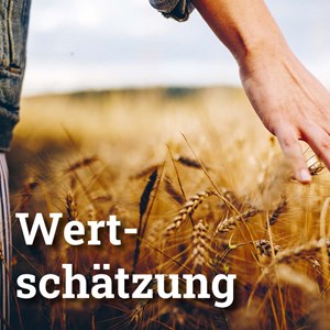 Instrumente der Wertschätzung in der Führung Instrumente der Wertschätzung in der Führung