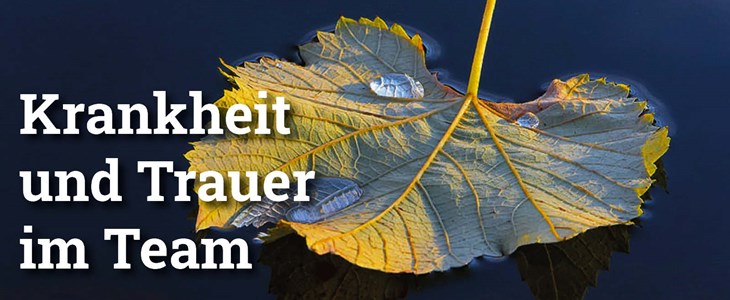 Krankheit und Trauer im Team Krankheit und Trauer im Team