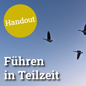 Führen in Teilzeit Führen in Teilzeit