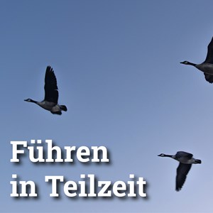 Teilzeitarbeiterin  und Altersvorsorge