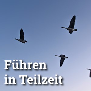 Eine Frage  der Einstellung Eine Frage  der Einstellung