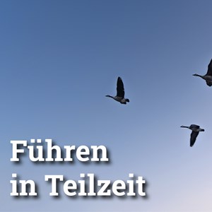 Führen in Teilzeit und Jobsharing in Zahlen Führen in Teilzeit und Jobsharing in Zahlen