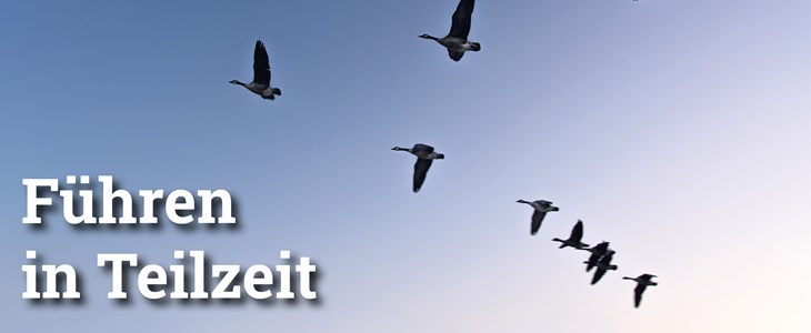 Fokus: Führen in Teilzeit Fokus: Führen in Teilzeit