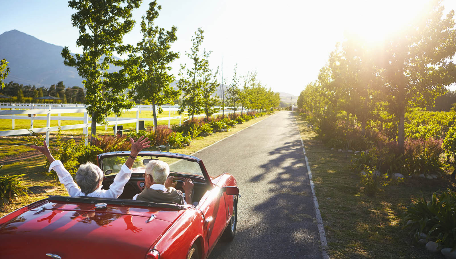 Die Kür der beruflichen Vorsorge