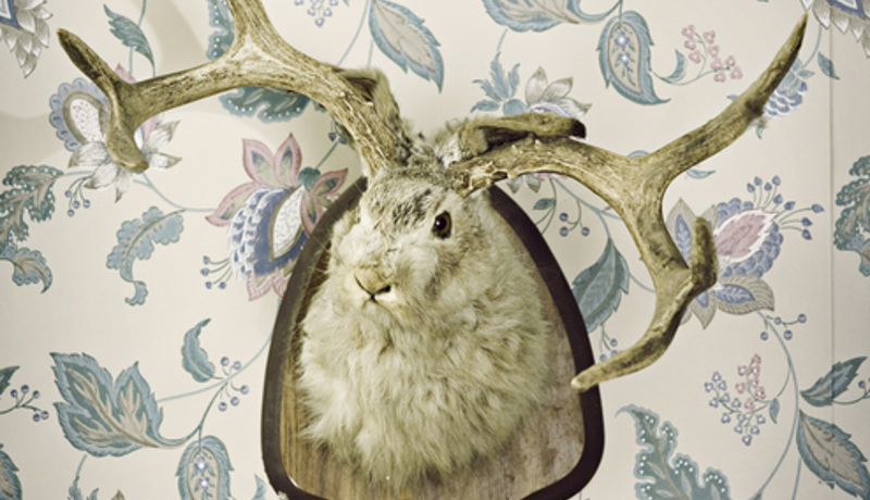 Wolpertinger Geweih Hase Wandschmuck Istock 157393939