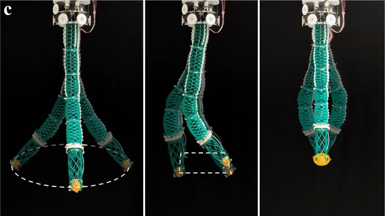 EPFL Ruesselrobotter 44182 2023 4 Fig7 Web