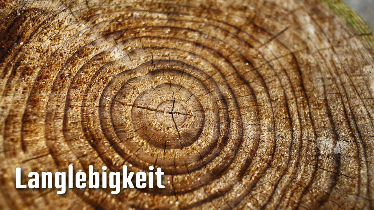 Dossier Langlebigkeit2
