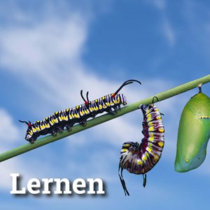 Künstliche Intelligenz wird elementar Künstliche Intelligenz wird elementar